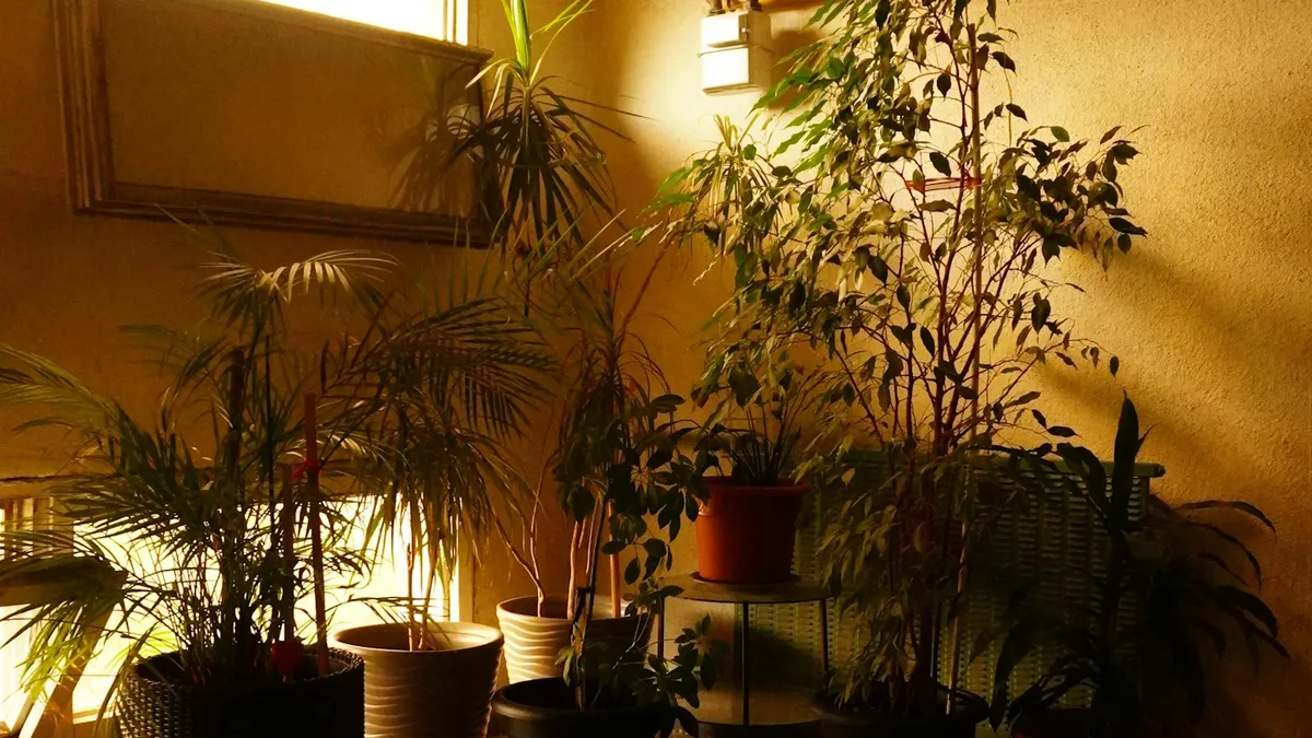 Cozy home and plant scene for How to Style Vintage Home Decor Without Looking Dated