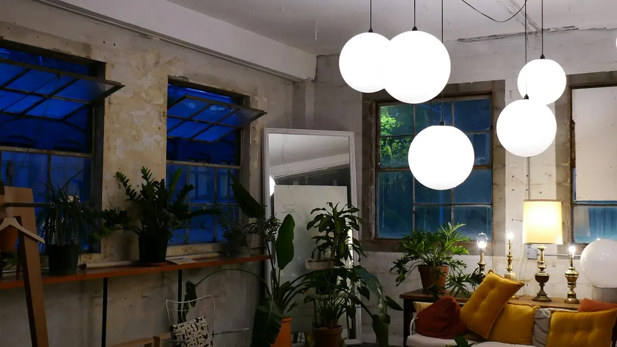 Cozy home and plant scene for How to Create a Beautiful and Practical Entryway: Styling Tips & Organization